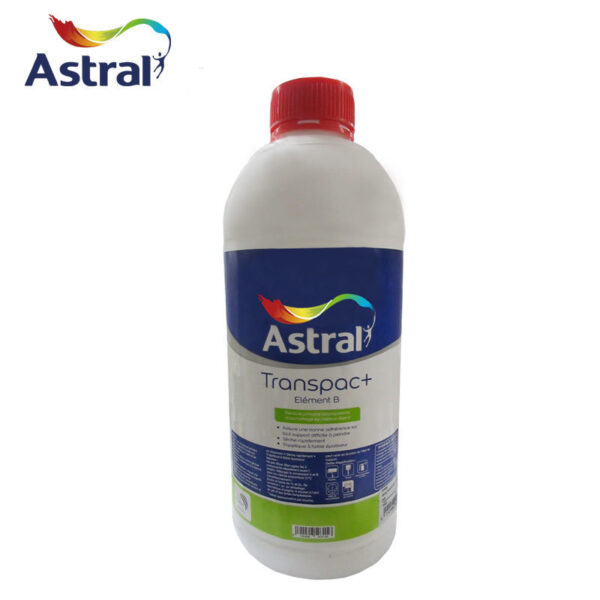 PF0011 catalyseur-pour-transpac-1l-astral CATALYSEUR POUR TRANSPAC 1L ASTRAL